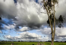 开云体育app-恩菲尔德主教练称赞球队拼搏精神，期待突破