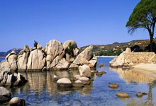 开云APP-曼联阵容磨合加速，迎接严峻挑战