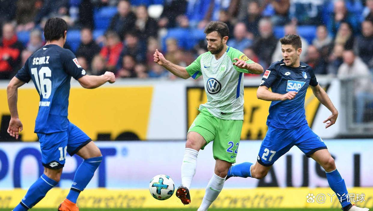 包含霍芬海姆签约西班牙新秀，德甲豪门引援实力不容小觑的词条