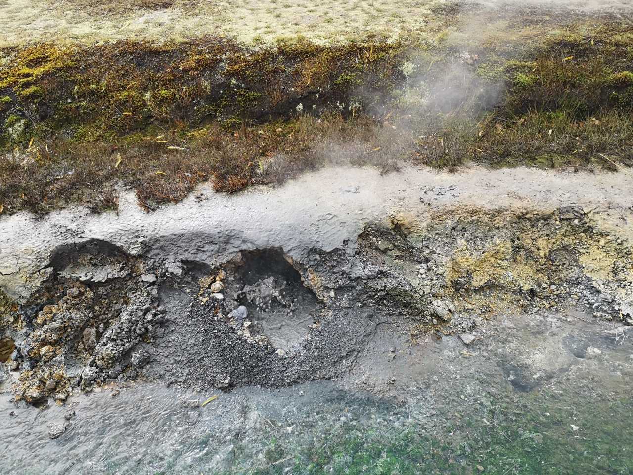 关于堪察加半岛队在比赛中表现出色,获得胜利的信息 关于堪察加半岛队在比赛中表现出色,获得胜利的信息