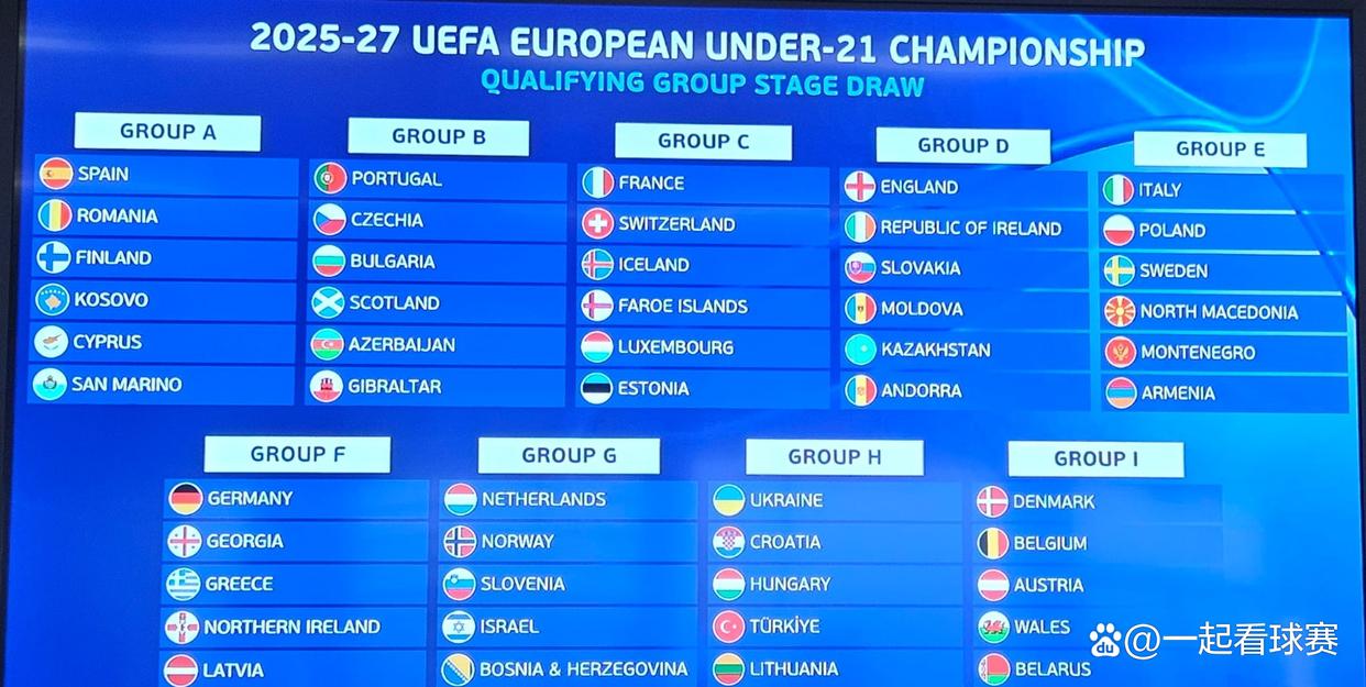 开云体育-波黑队在欧预赛中击败芬兰队