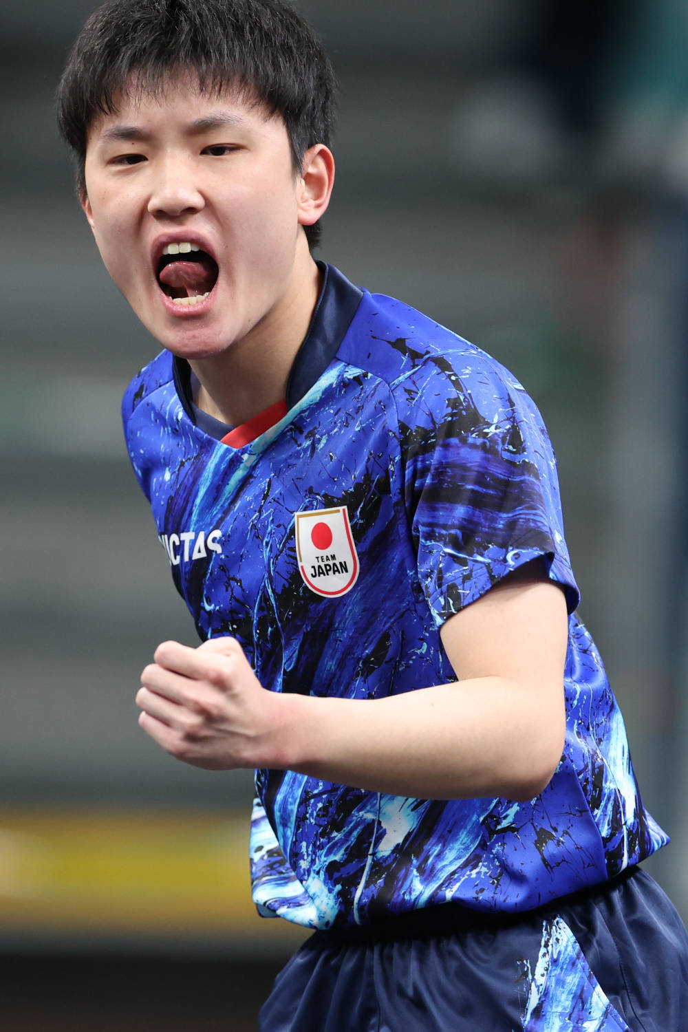 包含波兰乒乓球队翻盘日本乒乓球队,张本智和关键制胜的词条 包含波兰乒乓球队翻盘日本乒乓球队,张本智和关键制胜的词条