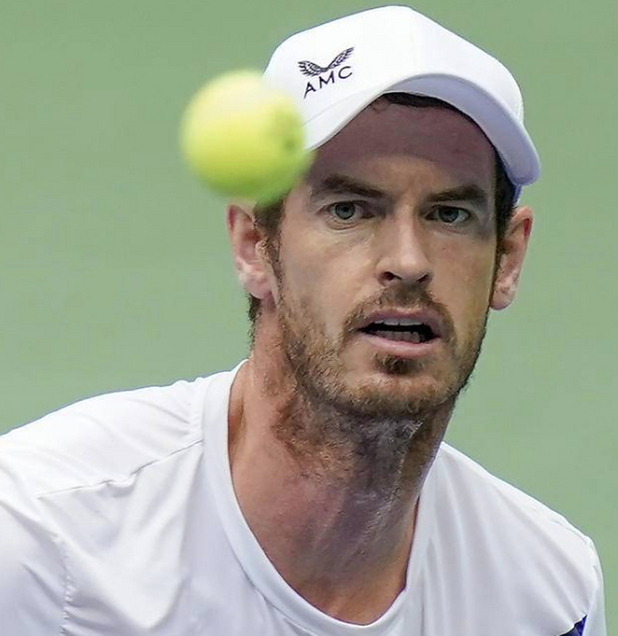 德国网球队翻盘世界网球队，穆雷高光表现的简单介绍