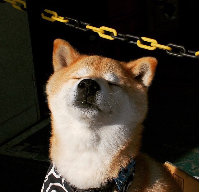 开云APP-个人英雄与集体风暴，从卡拉斯科与塞内加尔的压制力看现代足球新维度