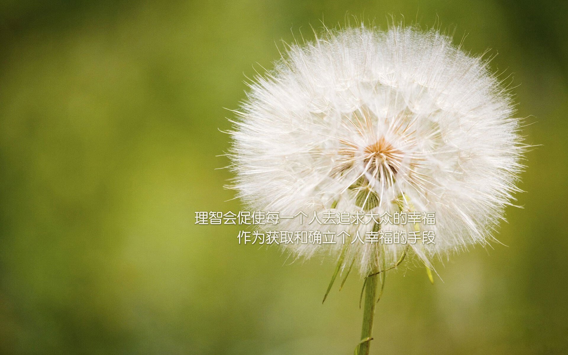 年度焦点之战,76人加时力克公牛,激情对决铸就经典