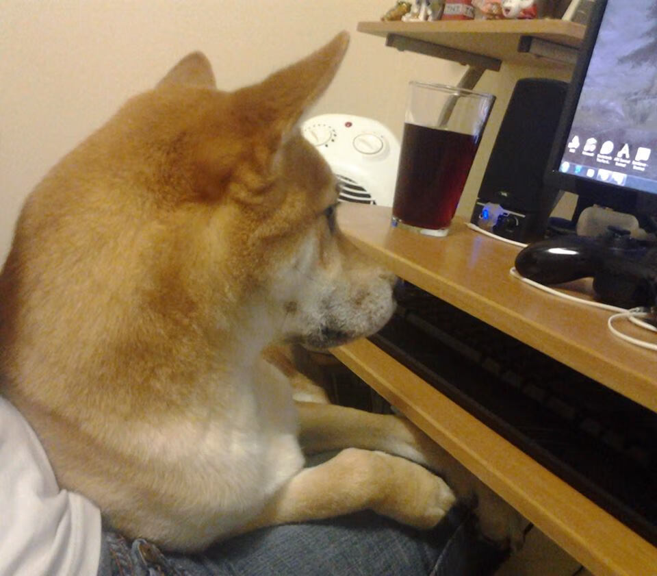 开云下载-尼斯对阵智利，卡塞米罗的舞台，越大越沸腾