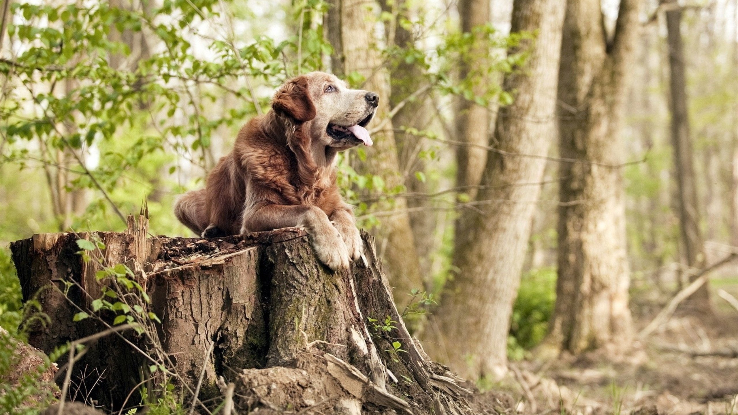 开云体育登录-关键先生范弗利特末节15分定乾坤！老鹰险胜76人迎关键卡位战胜利