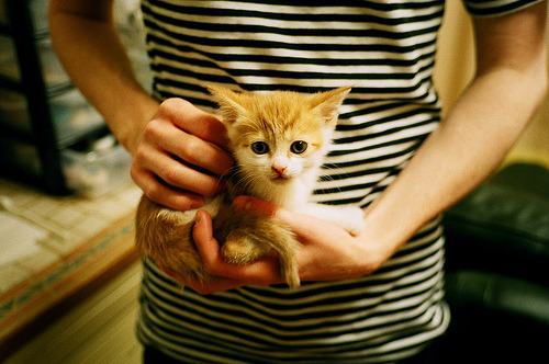 关键先生杰伦格林定乾坤，活塞极致战术压制掀翻国王