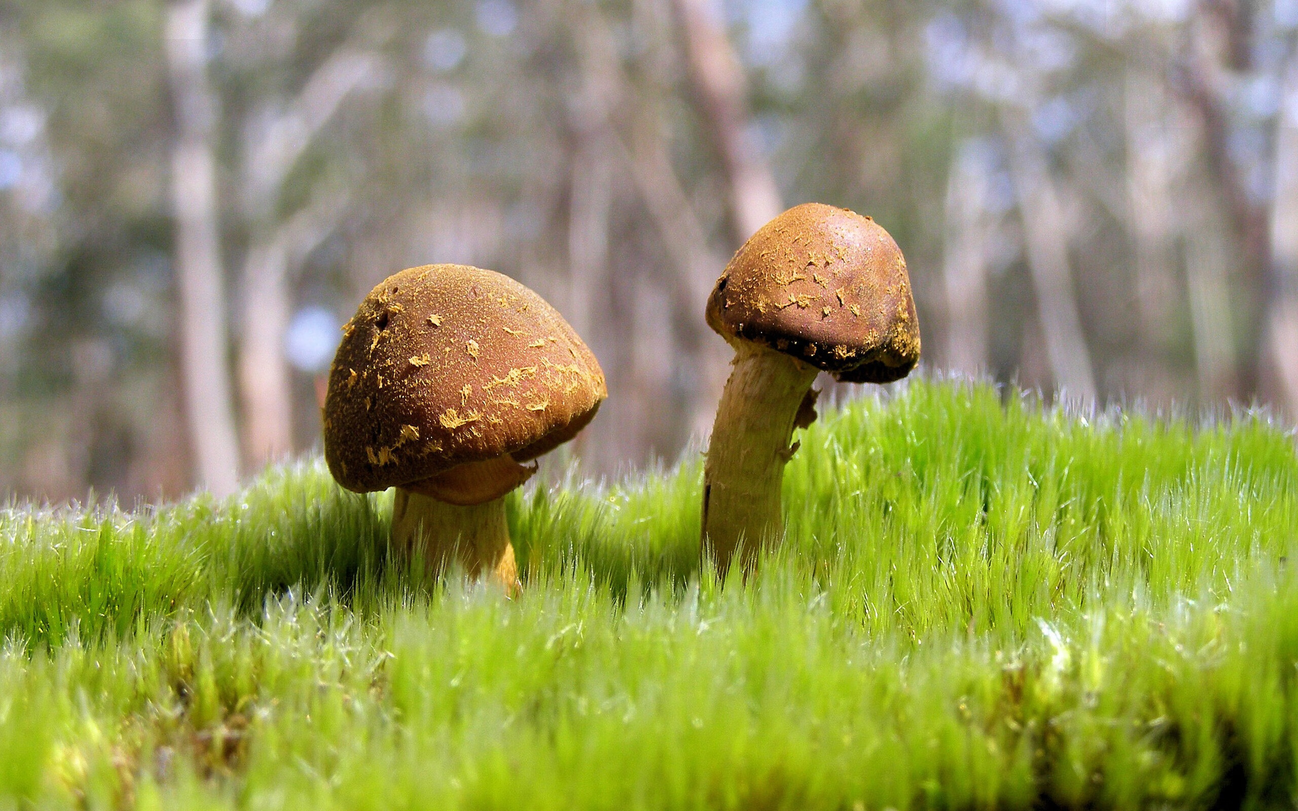 开云平台-克罗地亚斩落中国，姆巴佩稳定输出，足球赛场上的实力演绎与恒久光芒