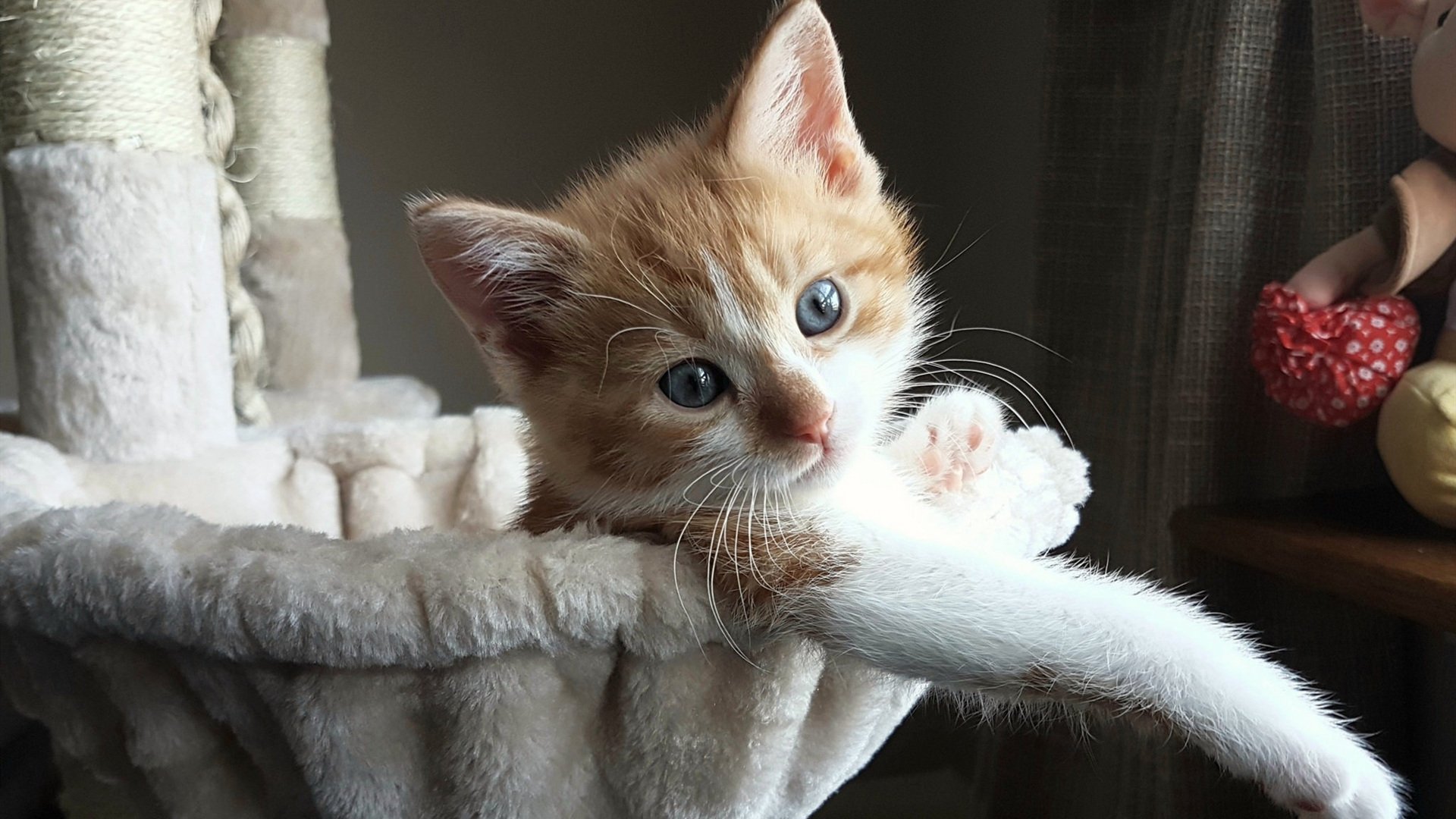 开云体育官网-恩比德狂揽40分20板！2026世界杯之夜，他重新定义现代中锋