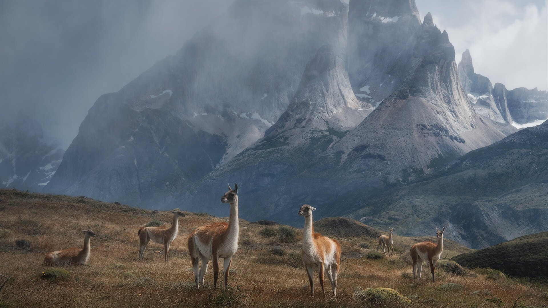 夜幕下的双雄会，西甲德比与利拉德的得分艺术