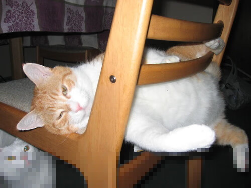 -奥运周期关键焦点战，沙特队完胜马里，预选赛征程迎来曙光