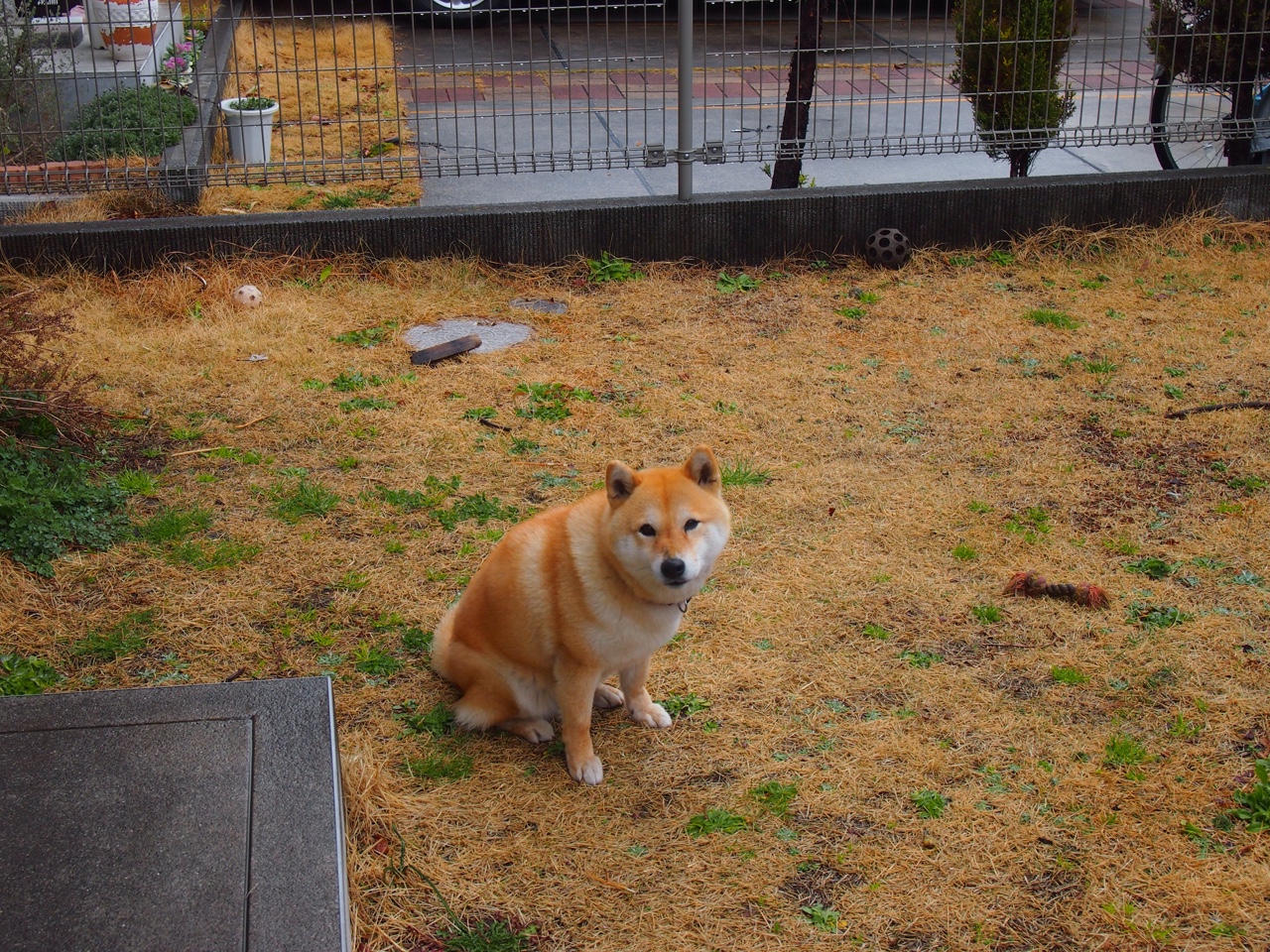 冰与火之歌，哈登神迹与广厦洪流下的篮球辩证