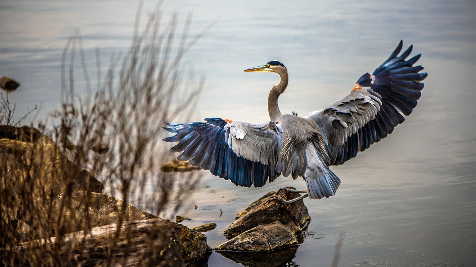 尼斯血拼西班牙,凯塞多的自我救赎之旅
