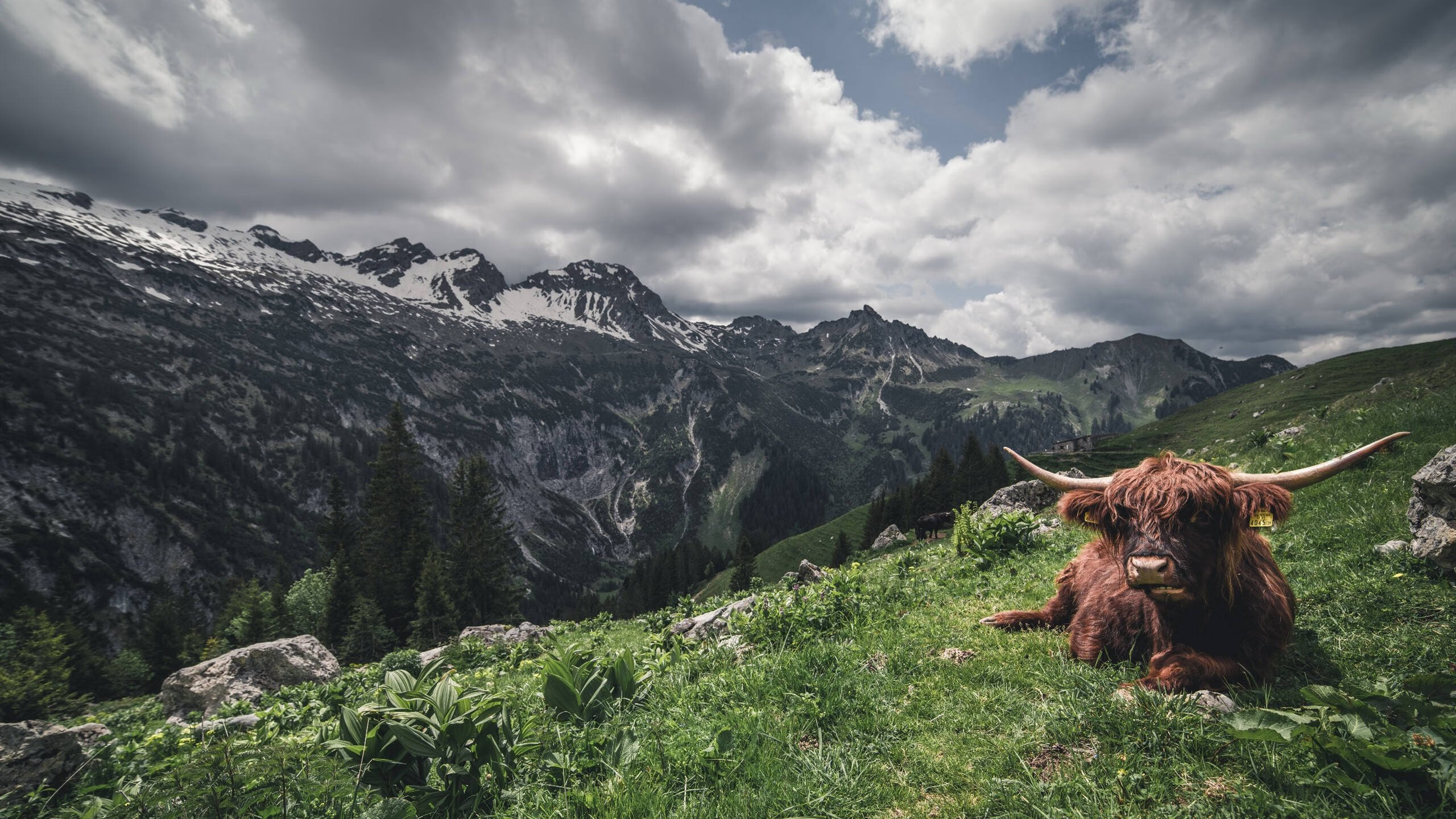 火箭战术密网锁死上海，恩比德临危一剑定乾坤