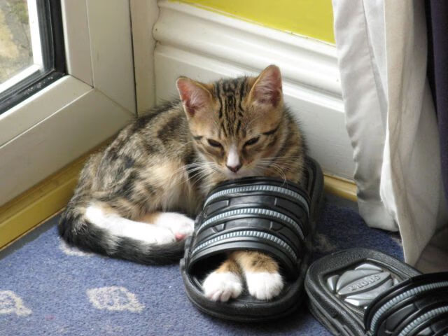 德甲争冠战之夜,梅西关键回合不手软