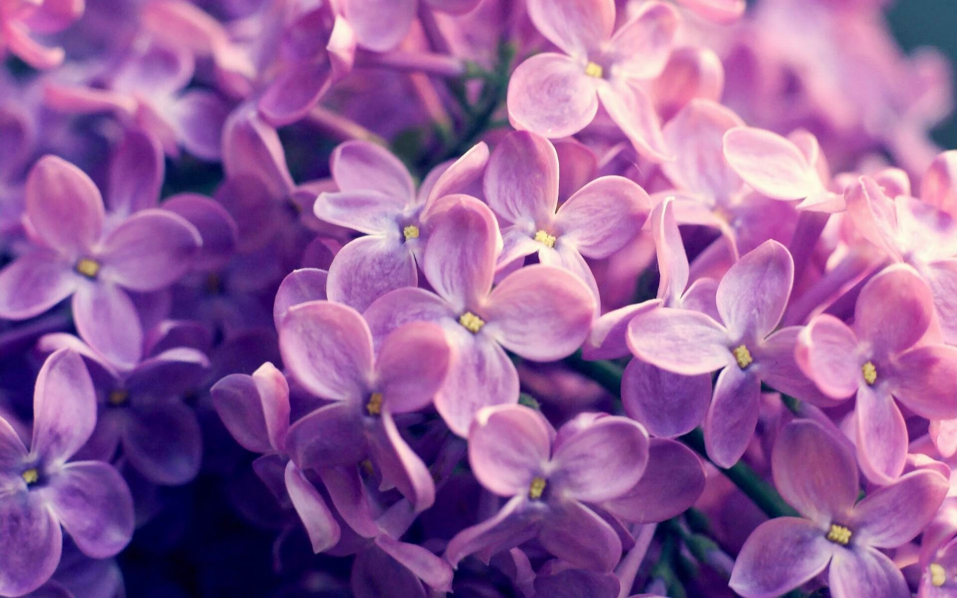 开云体育中国-舞台的魔法，当加维愈战愈勇，委内瑞拉悄然扼住命运