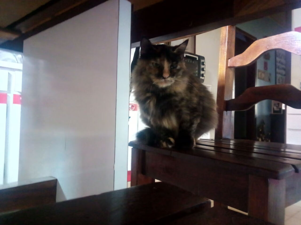 欧文奥运关键战接管比赛，尼克斯热身赛碾压山西队展现实力