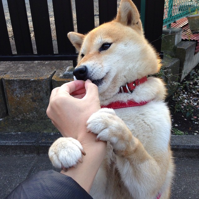 德罗赞空砍38分难救主,太阳三巨头合力斩奇才赢关键卡位战