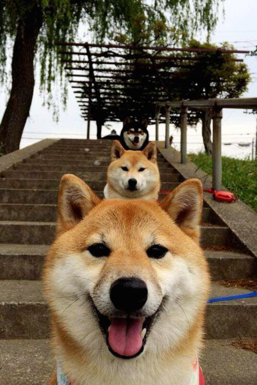 贝恩狂飙40分+绝命防守，北京队鏖战力克雄鹿