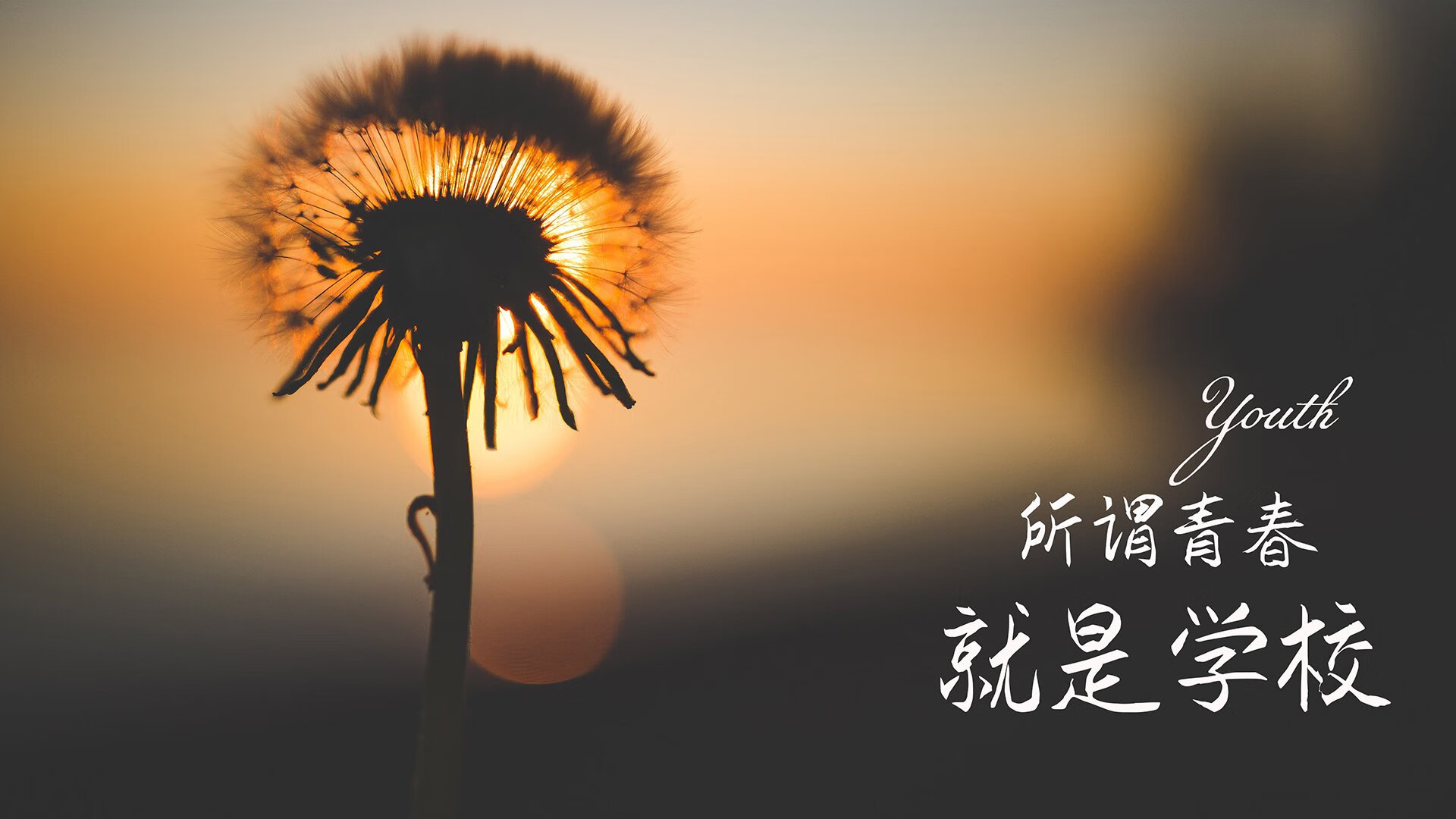 开云体育APP下载-沙漠之王，内马尔引领卡塔尔血洗捷克，替补奇兵成最大惊喜