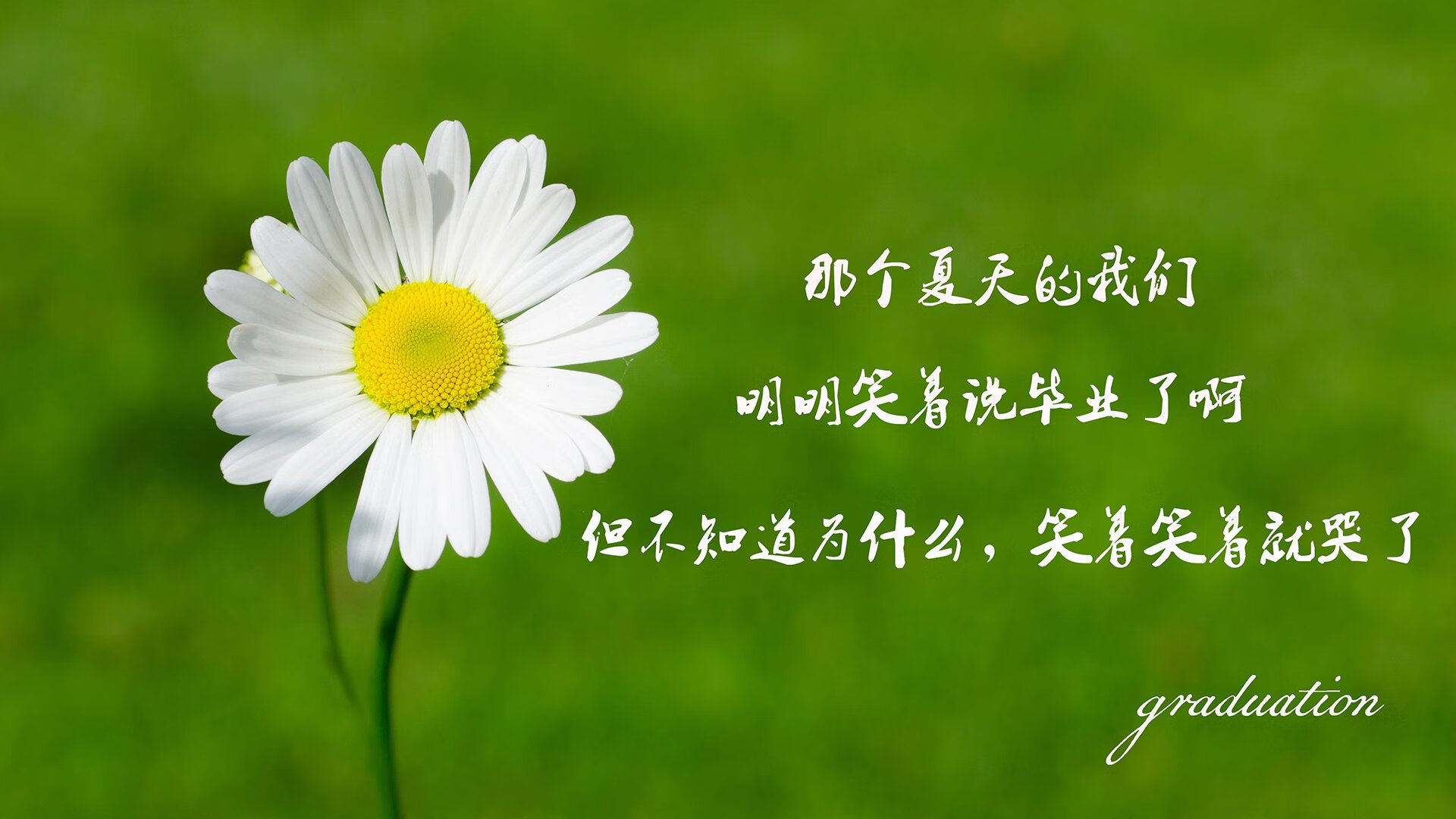 血色黎明,波兰铁骑踏破布达佩斯,防守反击铸就世界杯半决赛逆转神迹